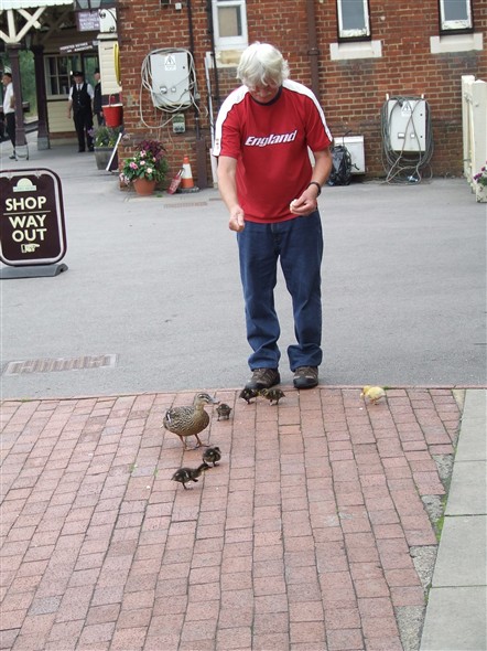 Photo:Dave, one of our members, feeding the ducklings on the station platform. These same ducklings later in the day had to be ushered out of the restaurant but they were no fools they simply came back in again through the side door
