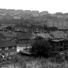 Photo: Illustrative image for the '6. Whitehawk' page